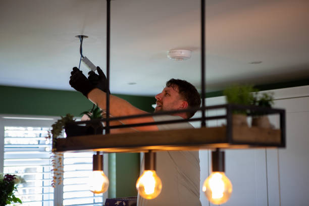 Best Electric Panel Repair  in Berea, SC